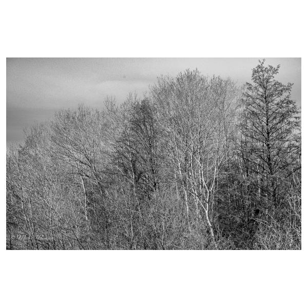 PHOTO84, CLUB, 84 , LUBERON